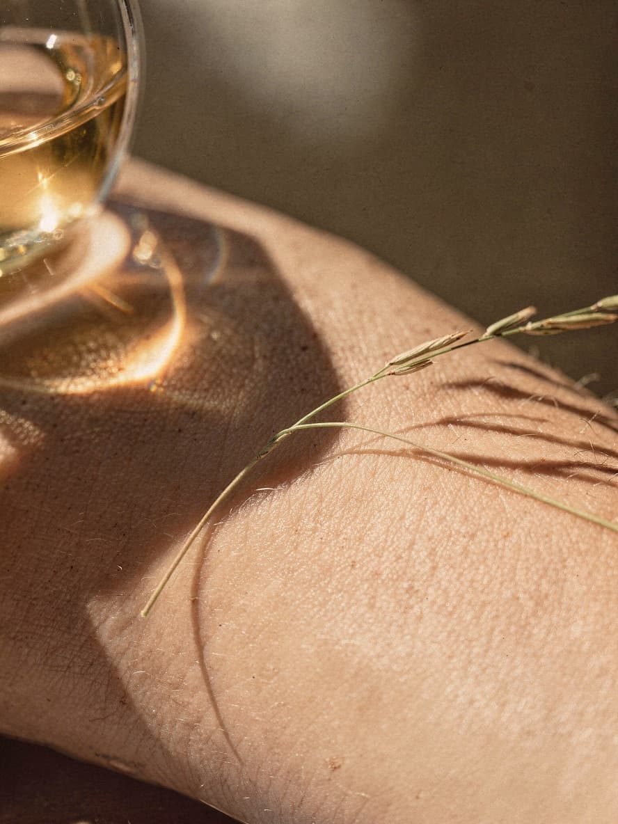 A dried grass stem resting across a bare forearm, a glass bottle casting warm light